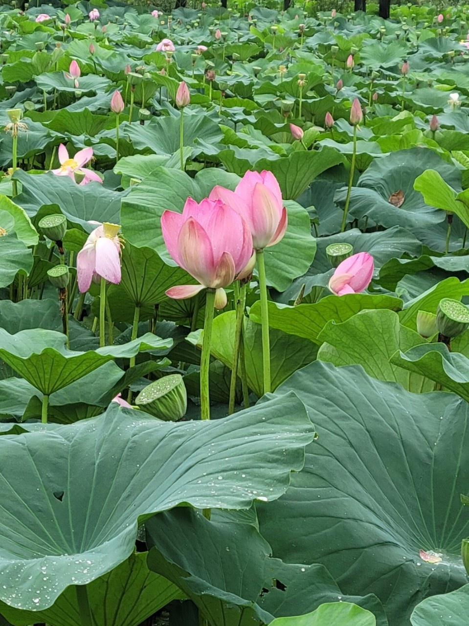 KakaoTalk_20230721_133257204_02.jpg