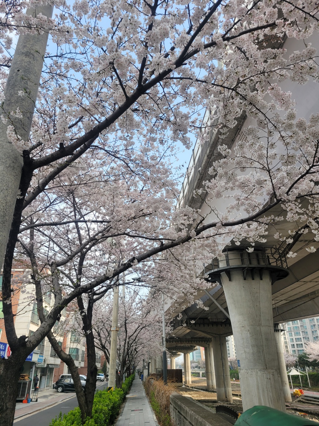 KakaoTalk_20250410_164752980.jpg